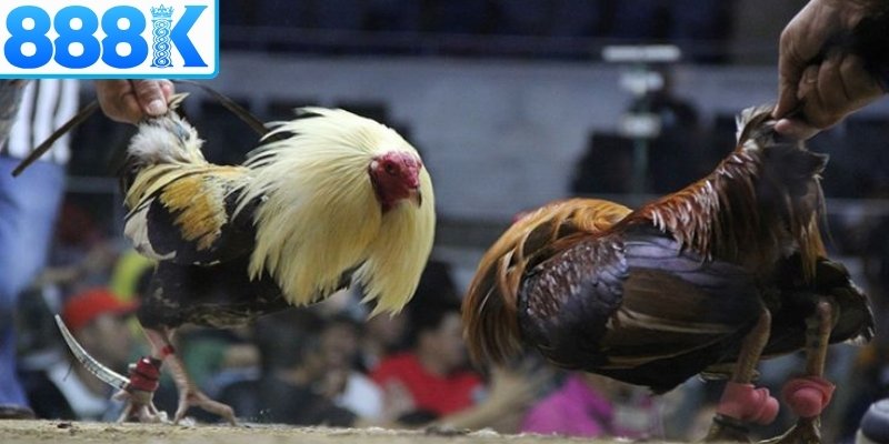 Quy trình tham gia dễ dàng