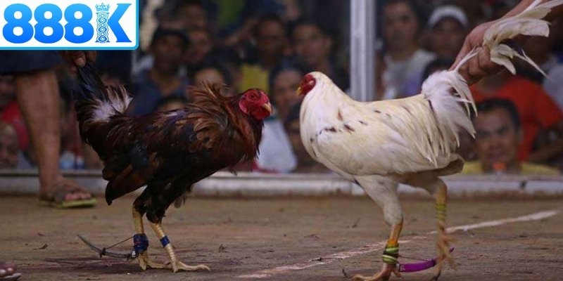 Nắm chắc quy định riêng