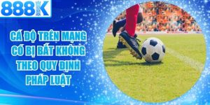 Cá Độ Trên Mạng Có Bị Bắt Không
